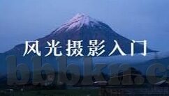 91麻豆居家隔离时的好伙伴-91麻豆，居家隔离的温馨伴侣