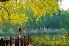高清一区二区三区播放-探索高清视频分区的多元化体验，一区、二区、三区的精彩纷呈