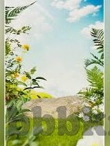 麻豆精东蜜桃传媒av-虚拟世界的绿色果实，网络内容与道德审视
