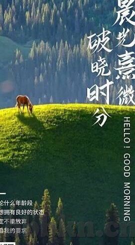 麻豆视频传媒app下-麻豆视频传媒App的数字化娱乐新窗口