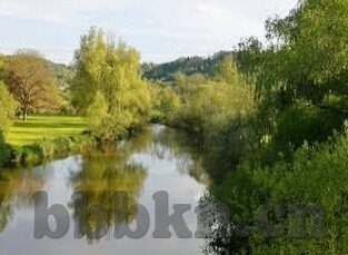 日韩欧美av视频在线观看-成人娱乐内容，日韩欧美AV视频的在线观看与文化差异