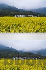 糖心app苹果版免费-探秘iOS平台的不懈追求，免费利用糖心APP的精彩